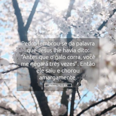 Picture 05 - Mateus 26:75 BSL - Pedro lembrou-se da palavra que Jesus lhe havia - Bible Verse Picture