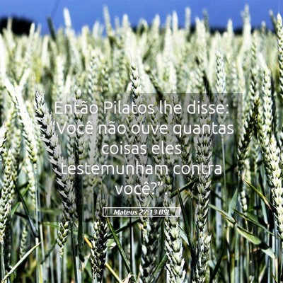 Picture 05 - Mateus 27:13 BSL - Então Pilatos lhe disse: “Você não ouve - Bible Verse Picture