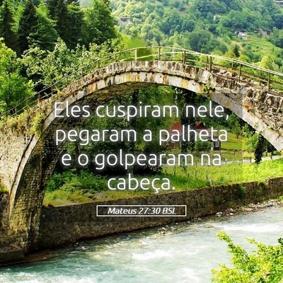 Picture 05 - Mateus 27:30 BSL - Eles cuspiram nele, pegaram a palheta e o - Bible Verse Picture