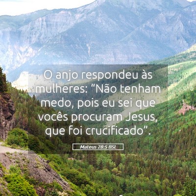 Picture 05 - Mateus 28:5 BSL - O anjo respondeu às mulheres: “Não tenham - Bible Verse Picture