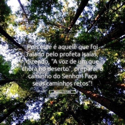 Picture 05 - Mateus 3:3 BSL - Pois este é aquele que foi falado pelo profeta - Bible Verse Picture