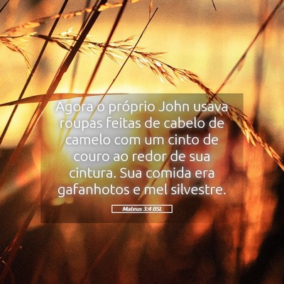 Picture 05 - Mateus 3:4 BSL - Agora o próprio John usava roupas feitas de - Bible Verse Picture