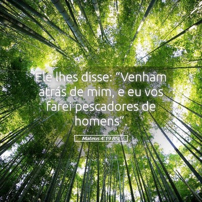 Picture 05 - Mateus 4:19 BSL - Ele lhes disse: “Venham atrás de mim, e eu vos - Bible Verse Picture
