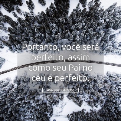 Picture 05 - Mateus 5:48 BSL - Portanto, você será perfeito, assim como seu - Bible Verse Picture