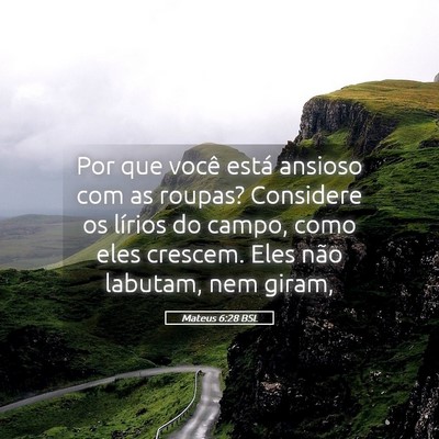 Picture 05 - Mateus 6:28 BSL - Por que você está ansioso com as roupas? - Bible Verse Picture