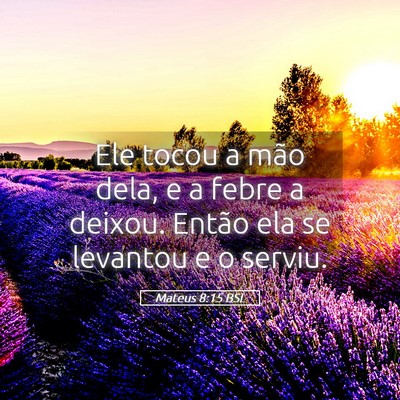 Picture 05 - Mateus 8:15 BSL - Ele tocou a mão dela, e a febre a deixou. Então - Bible Verse Picture