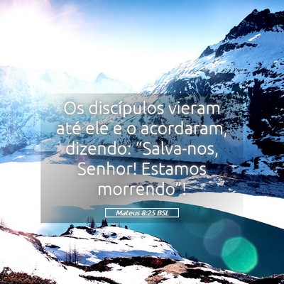Picture 05 - Mateus 8:25 BSL - Os discípulos vieram até ele e o acordaram, - Bible Verse Picture