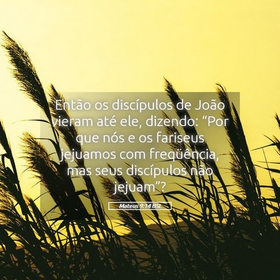 Picture 05 - Mateus 9:14 BSL - Então os discípulos de João vieram até ele, - Bible Verse Picture