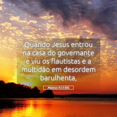 Picture 05 - Mateus 9:23 BSL - Quando Jesus entrou na casa do governante e viu - Bible Verse Picture