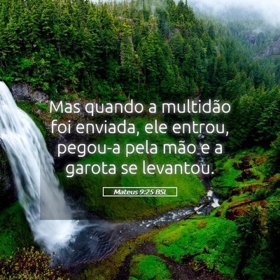 Picture 05 - Mateus 9:25 BSL - Mas quando a multidão foi enviada, ele entrou, - Bible Verse Picture