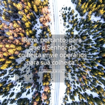 Picture 05 - Mateus 9:38 BSL - Reze, portanto, para que o Senhor da colheita - Bible Verse Picture