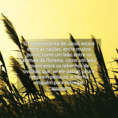 Picture 05 - Miquéias 5:8 BSL - O remanescente de Jacob estará entre as - Bible Verse Picture