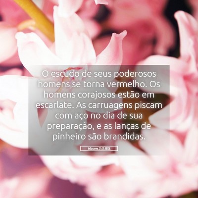 Picture 05 - Naum 2:3 BSL - O escudo de seus poderosos homens se torna - Bible Verse Picture