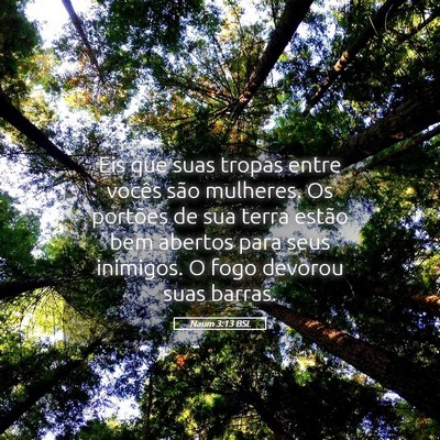 Picture 05 - Naum 3:13 BSL - Eis que suas tropas entre vocês são mulheres. - Bible Verse Picture