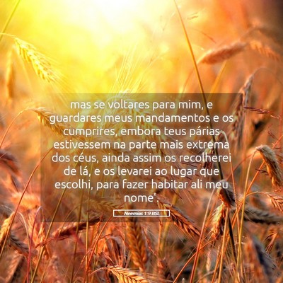 Picture 05 - Neemias 1:9 BSL - mas se voltares para mim, e guardares meus - Bible Verse Picture
