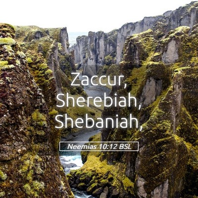 Picture 05 - Neemias 10:12 BSL - Zaccur, Sherebiah, - Bible Verse Picture