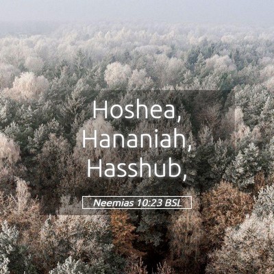 Picture 05 - Neemias 10:23 BSL - Hoshea, Hananiah, - Bible Verse Picture