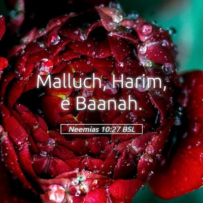 Picture 05 - Neemias 10:27 BSL - Malluch, Harim, e - Bible Verse Picture