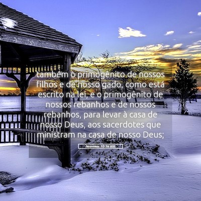 Picture 05 - Neemias 10:36 BSL - também o primogênito de nossos filhos e de - Bible Verse Picture