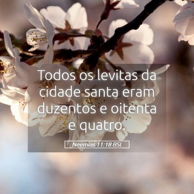 Picture 05 - Neemias 11:18 BSL - Todos os levitas da cidade santa eram duzentos e - Bible Verse Picture
