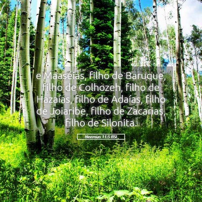 Picture 05 - Neemias 11:5 BSL - e Maaséias, filho de Baruque, filho de Colhozeh, - Bible Verse Picture
