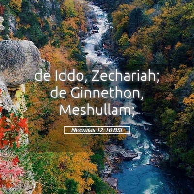 Picture 05 - Neemias 12:16 BSL - de Iddo, Zechariah; de Ginnethon, - Bible Verse Picture