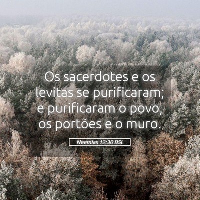 Picture 05 - Neemias 12:30 BSL - Os sacerdotes e os levitas se purificaram; e - Bible Verse Picture