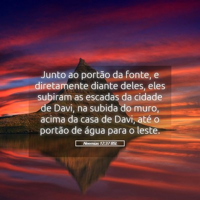 Picture 05 - Neemias 12:37 BSL - Junto ao portão da fonte, e diretamente diante - Bible Verse Picture