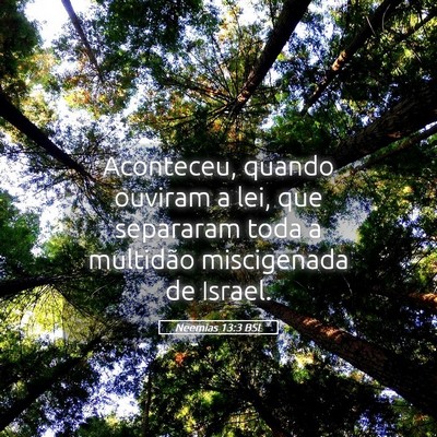 Picture 05 - Neemias 13:3 BSL - Aconteceu, quando ouviram a lei, que separaram - Bible Verse Picture