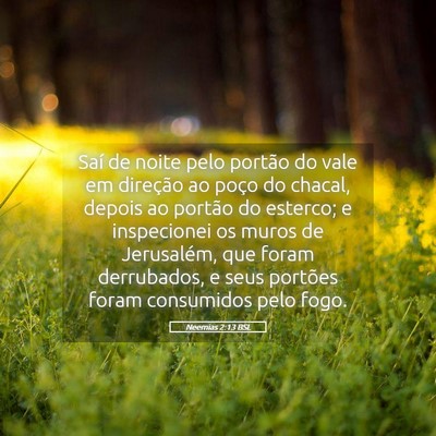 Picture 05 - Neemias 2:13 BSL - Saí de noite pelo portão do vale em direção - Bible Verse Picture