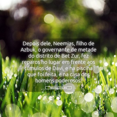 Picture 05 - Neemias 3:16 BSL - Depois dele, Neemias, filho de Azbuk, o - Bible Verse Picture