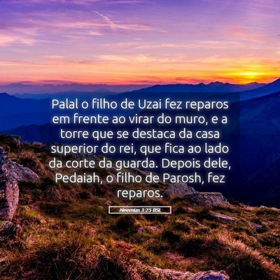 Picture 05 - Neemias 3:25 BSL - Palal o filho de Uzai fez reparos em frente ao - Bible Verse Picture