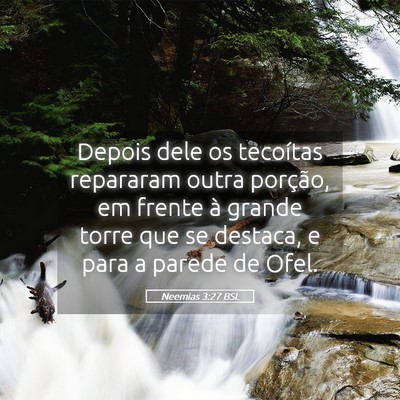 Picture 05 - Neemias 3:27 BSL - Depois dele os tecoítas repararam outra - Bible Verse Picture