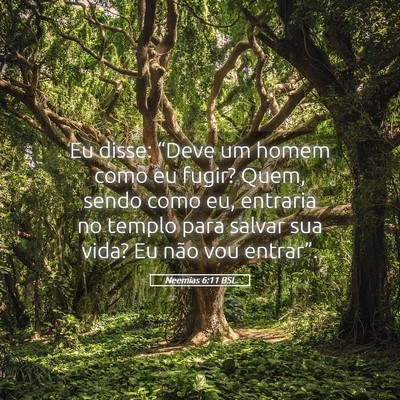 Picture 05 - Neemias 6:11 BSL - Eu disse: “Deve um homem como eu fugir? Quem, - Bible Verse Picture