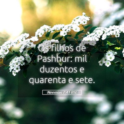 Picture 05 - Neemias 7:41 BSL - Os filhos de Pashhur: mil duzentos e quarenta e - Bible Verse Picture
