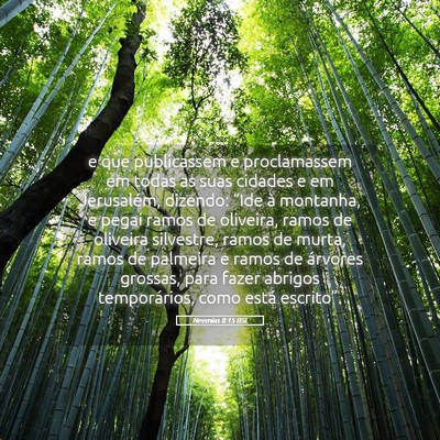Picture 05 - Neemias 8:15 BSL - e que publicassem e proclamassem em todas as suas - Bible Verse Picture
