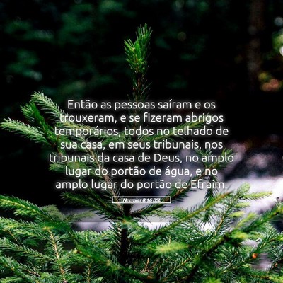Picture 05 - Neemias 8:16 BSL - Então as pessoas saíram e os trouxeram, e se - Bible Verse Picture