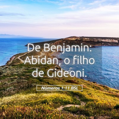 Picture 05 - Números 1:11 BSL - De Benjamin: Abidan, o filho de - Bible Verse Picture