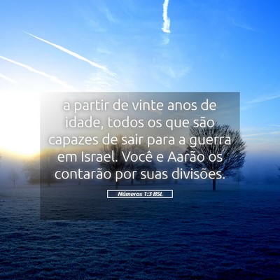 Picture 05 - Números 1:3 BSL - a partir de vinte anos de idade, todos os que - Bible Verse Picture