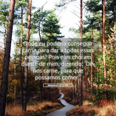 Picture 05 - Números 11:13 BSL - Onde eu poderia conseguir carne para dar a todas - Bible Verse Picture