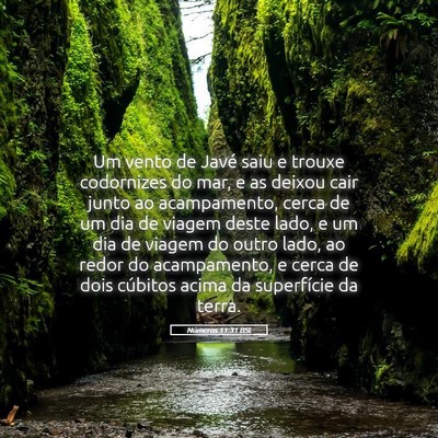 Picture 05 - Números 11:31 BSL - Um vento de Javé saiu e trouxe codornizes do - Bible Verse Picture
