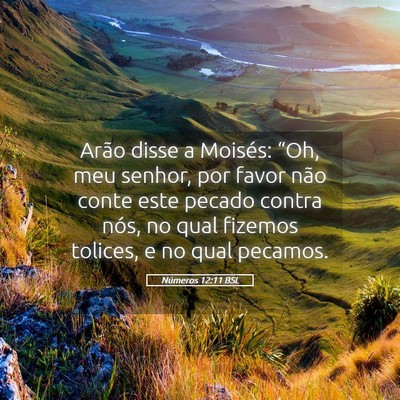 Picture 05 - Números 12:11 BSL - Arão disse a Moisés: “Oh, meu senhor, por - Bible Verse Picture
