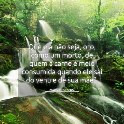 Picture 05 - Números 12:12 BSL - Que ela não seja, oro, como um morto, de quem a - Bible Verse Picture