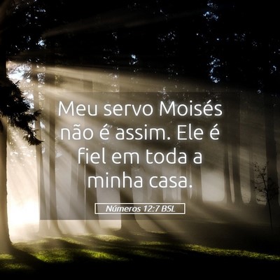 Picture 05 - Números 12:7 BSL - Meu servo Moisés não é assim. Ele é fiel em - Bible Verse Picture