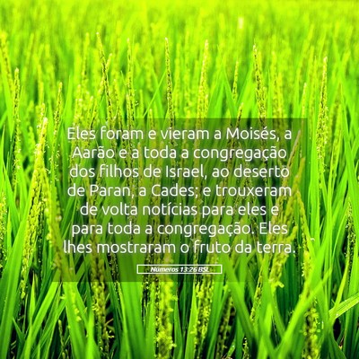 Picture 05 - Números 13:26 BSL - Eles foram e vieram a Moisés, a Aarão e a toda - Bible Verse Picture