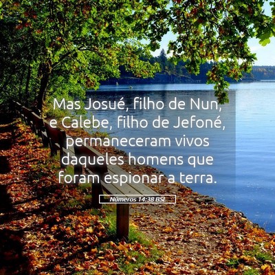 Picture 05 - Números 14:38 BSL - Mas Josué, filho de Nun, e Calebe, filho de - Bible Verse Picture