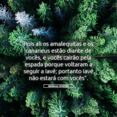 Picture 05 - Números 14:43 BSL - Pois ali os amalequitas e os cananeus estão - Bible Verse Picture