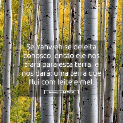 Picture 05 - Números 14:8 BSL - Se Yahweh se deleita conosco, então ele nos - Bible Verse Picture