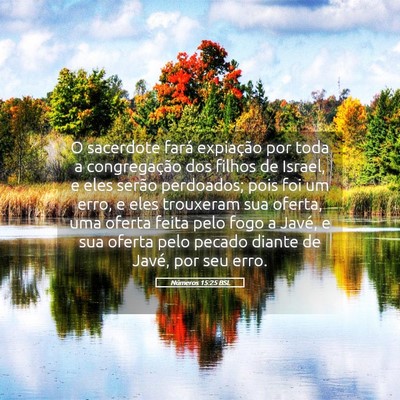 Picture 05 - Números 15:25 BSL - O sacerdote fará expiação por toda a - Bible Verse Picture