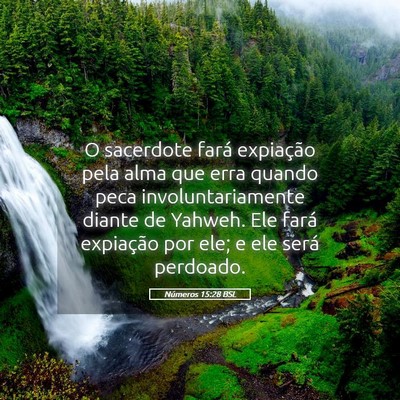 Picture 05 - Números 15:28 BSL - O sacerdote fará expiação pela alma que erra - Bible Verse Picture